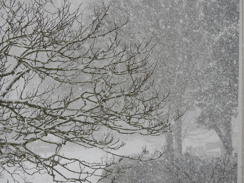 sneeuw