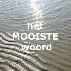 Ammerijke dingt mee naar Mooiste Woord