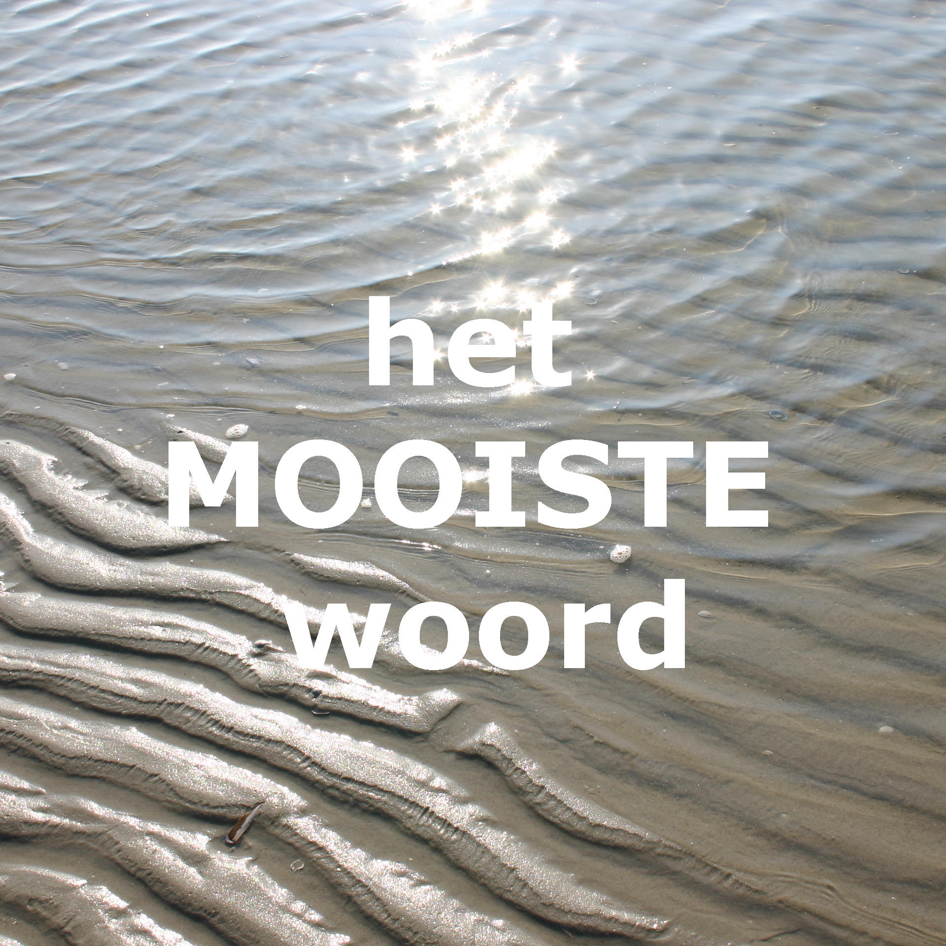 Ammerijke dingt mee naar Mooiste Woord