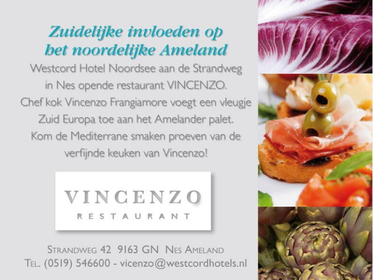 Vincenzo