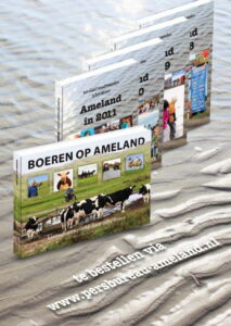 Boekenstal op braderie