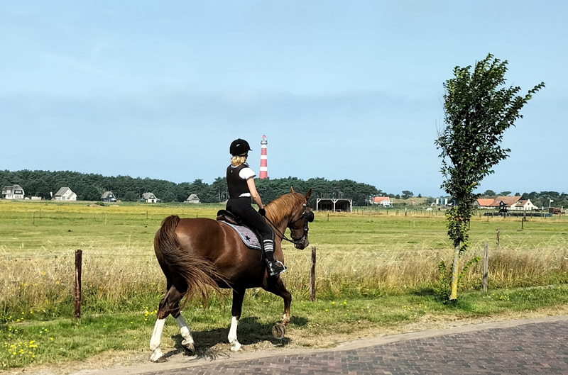 40. Mijn Ameland Foto