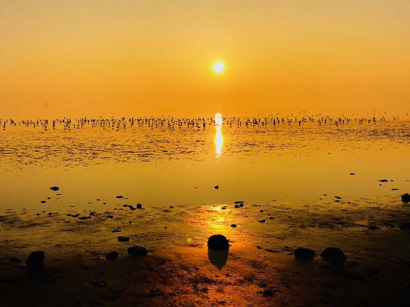 11. Mijn Ameland Foto