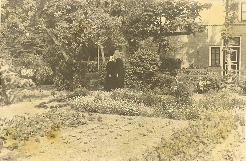 De kardinaal tussen de fruitbomen