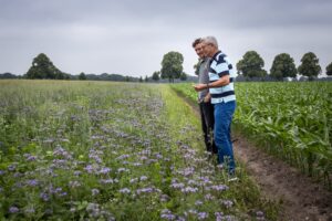 landbouw