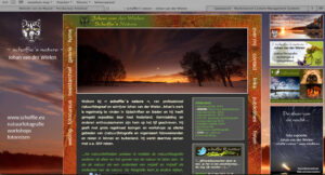 Website van de Maand februari  2013