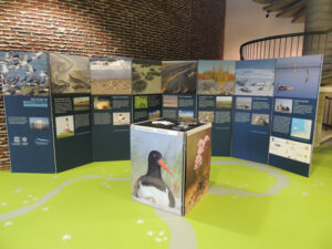 Werelderfgoed Waddenzee