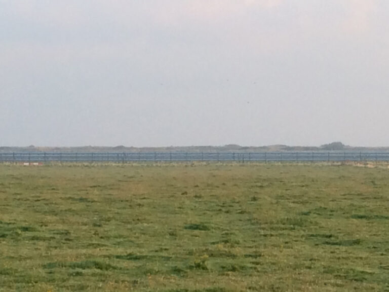 Zonnepark