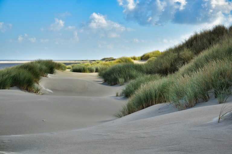 Heerlijk wandelen op Ameland met deze tips
