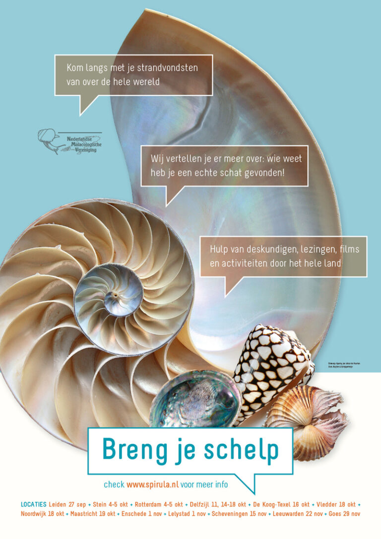 schelp