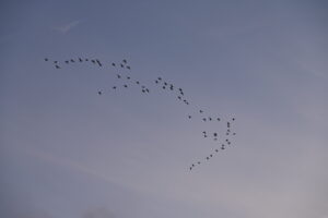 5. Mijn Ameland Foto