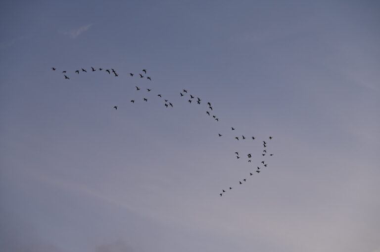 5. Mijn Ameland Foto