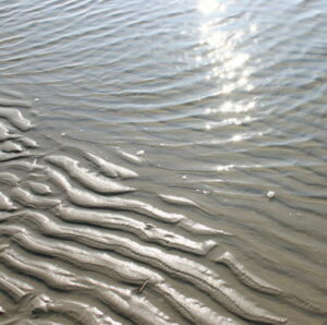 Afvoerputje van Ameland