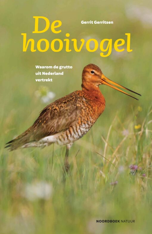 Hooivogel