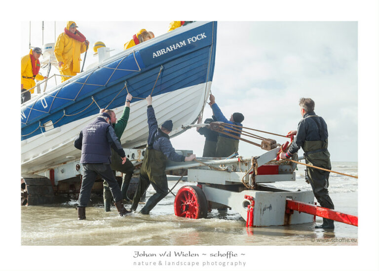 Paardenreddingboot