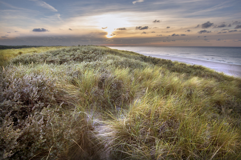 Waddeneneilanden