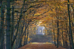 Op zoek naar Oude Duinen