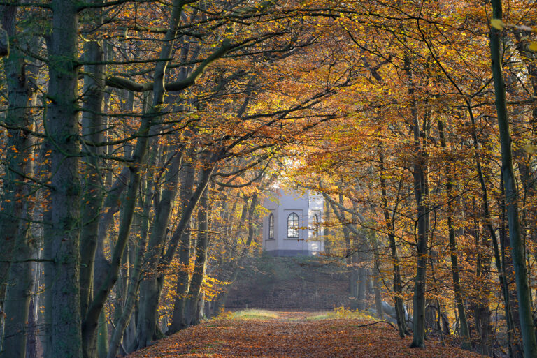 Op zoek naar Oude Duinen