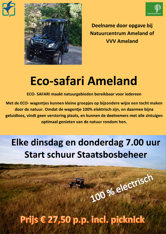 Eco-Safari