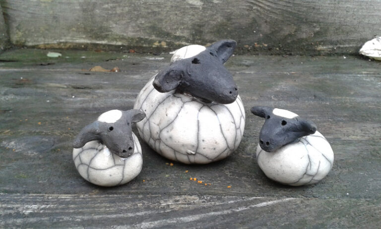 Schaap