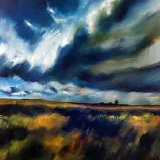 WebGalerie Ameland