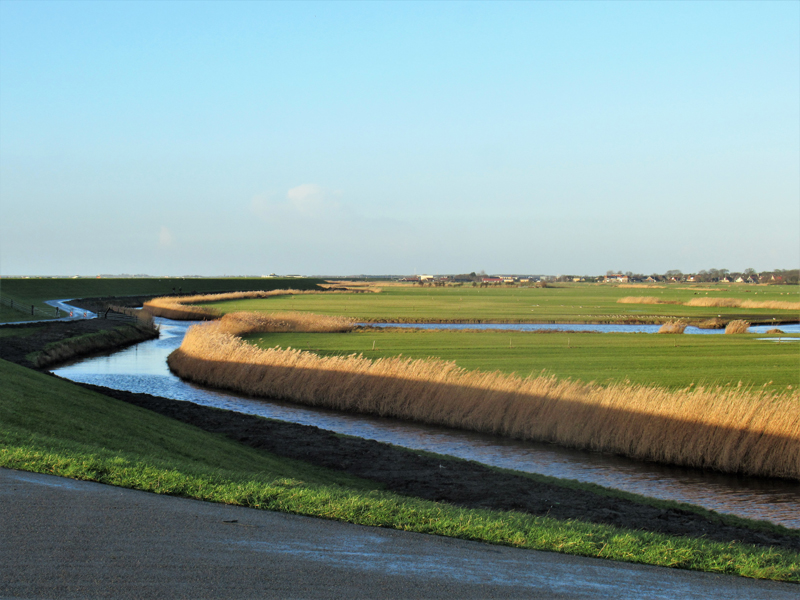 9. Mijn Ameland Foto