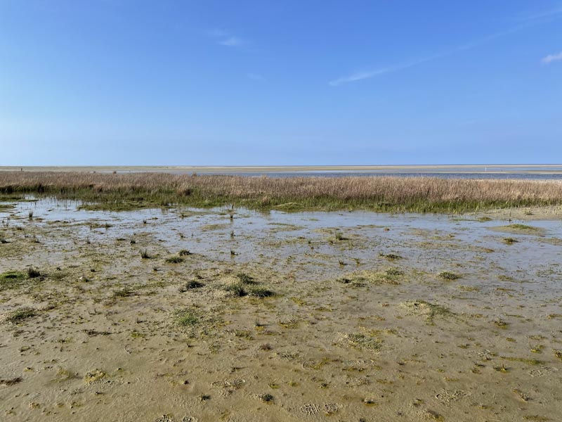 Strand Ballum is bijzonder