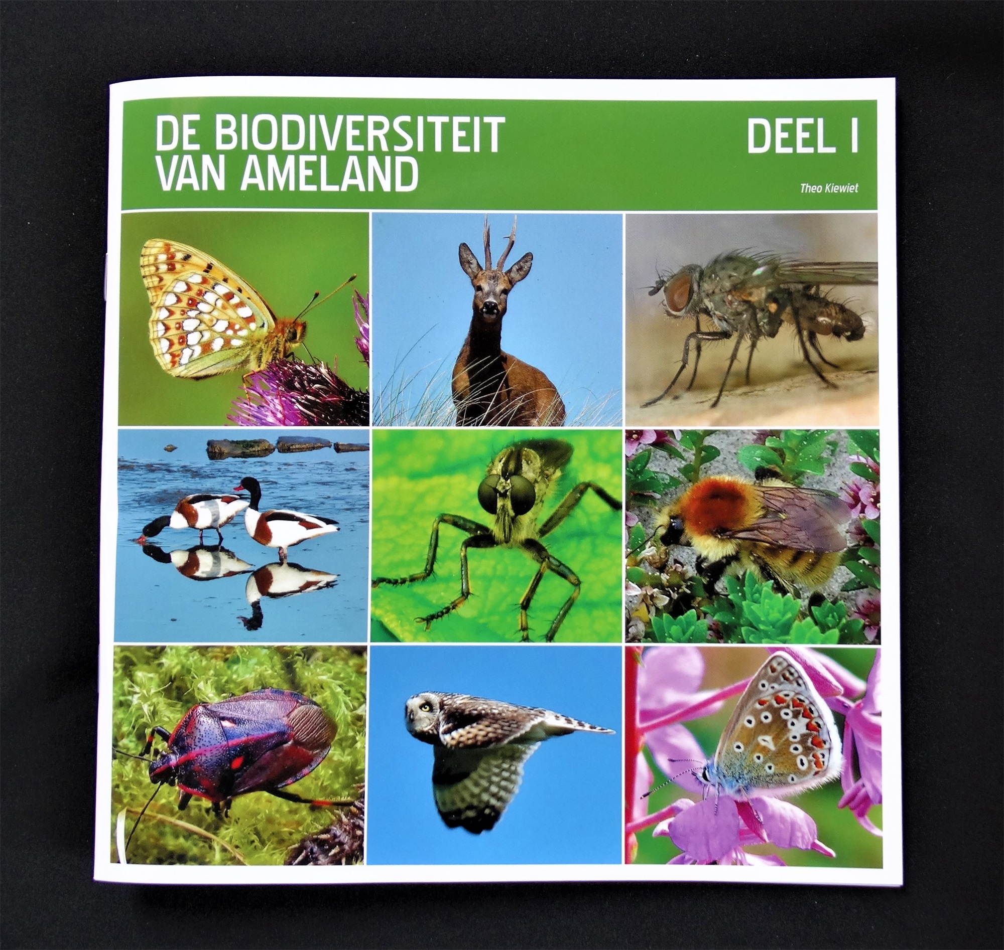 biodiversiteit