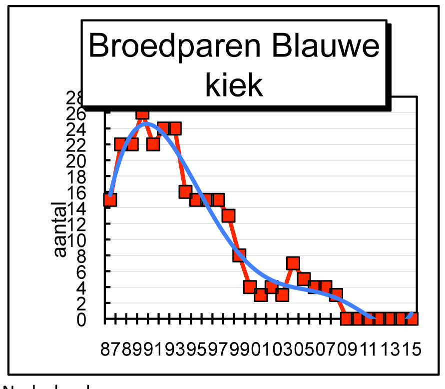 Blauwe kiekendief