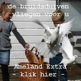 Bruidsduiven