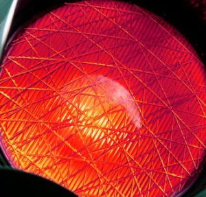 Rood is op Ameland het nieuwe groen