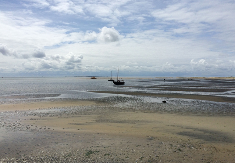 Waddenzee