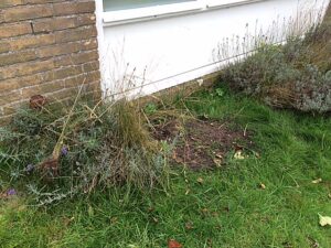 Huisjes De Hagen