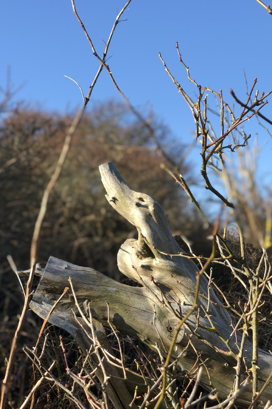 4. Mijn Ameland Foto