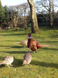 18. Mijn Ameland Foto