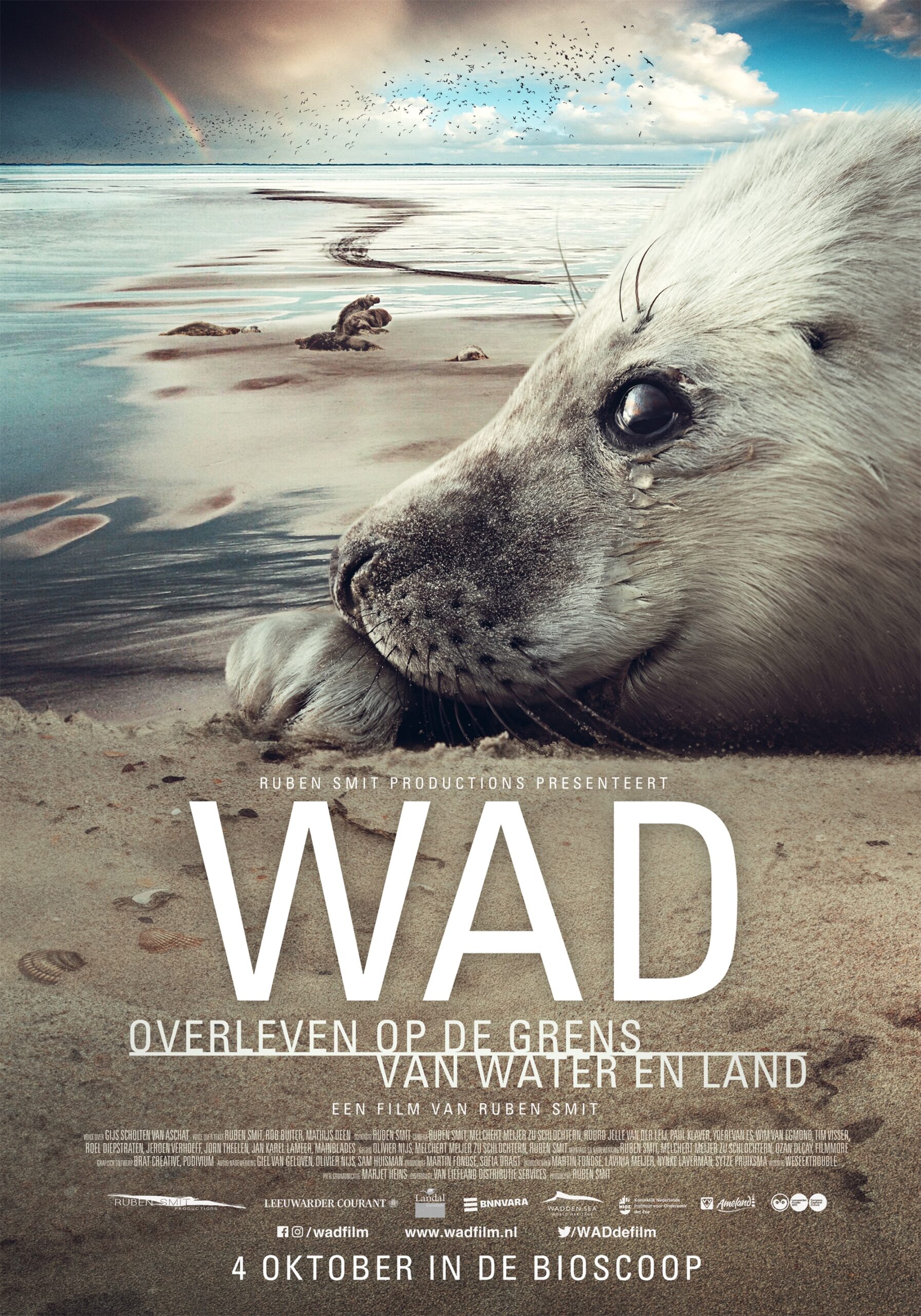 Wad