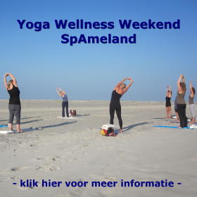 Wellness SpAmeland