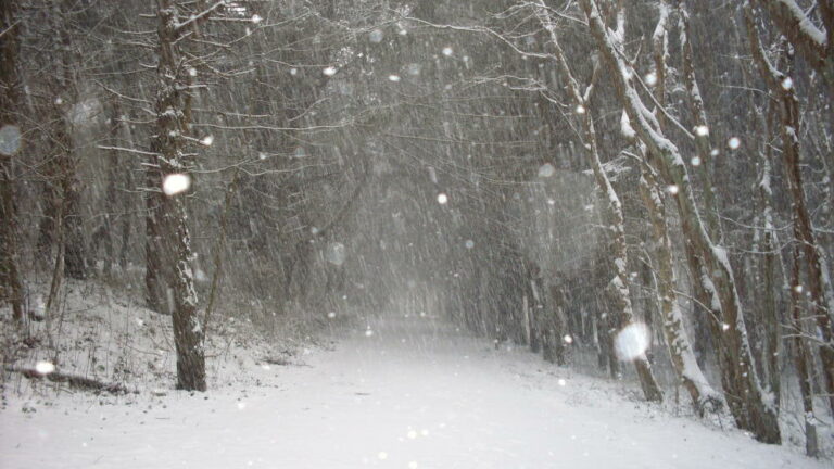 Decembersfeer