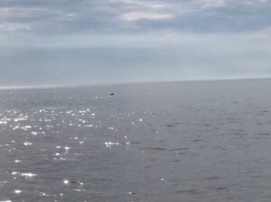 19. Mijn Ameland Foto