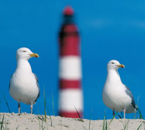 Ongeluk met veerboot Amrum