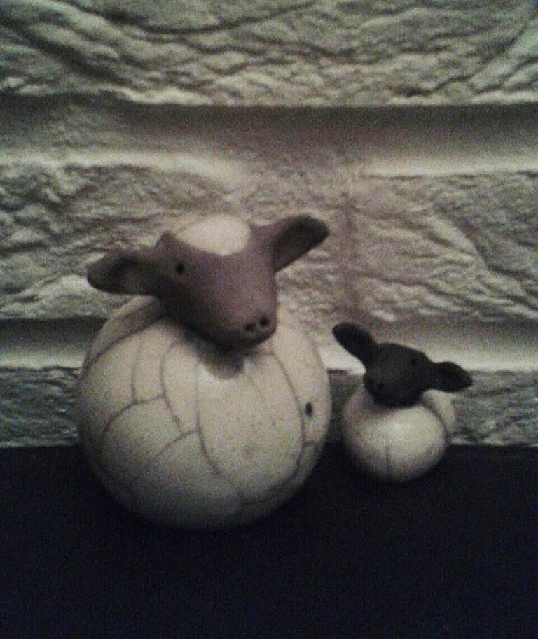 Schaap