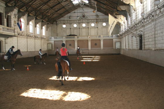 Hollandse manege