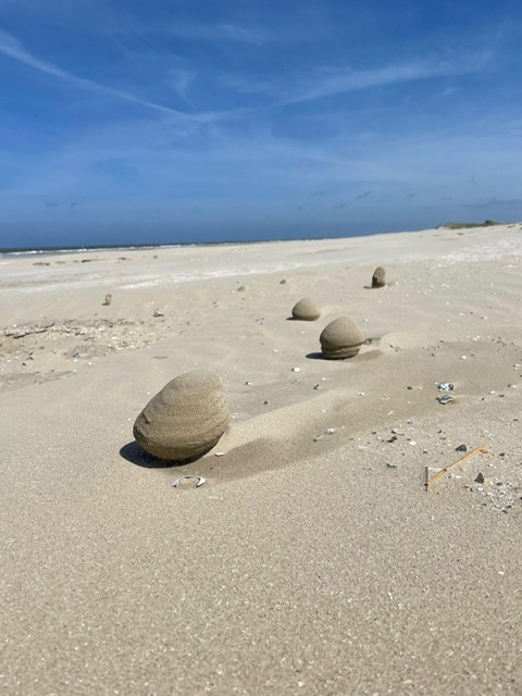 11. Mijn Ameland Foto