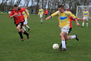 Geel Wit