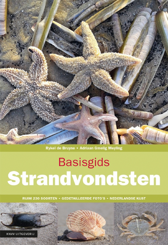 basisgids strandvondsten