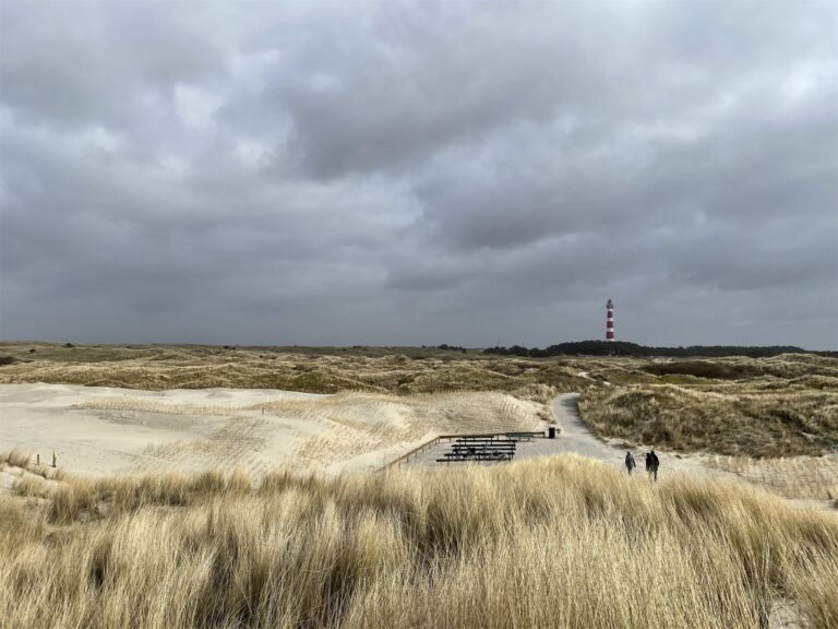 Duinen