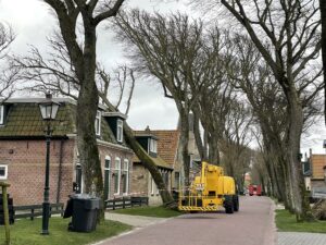 Iep geveld door Dudley