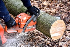 Boswerkzaamheden starten volgende week in Oostbos, Grauwe Duun en Nesserbos