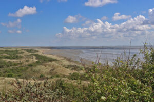Natuurherstel gestart in oostelijk duingebied van Ameland
