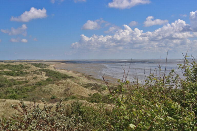 Natuurherstel gestart in oostelijk duingebied van Ameland